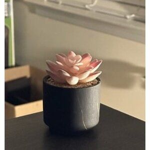 New Succulent Artificial Plants,Cute Fake Succulents in 1 Black Ceramic Pots